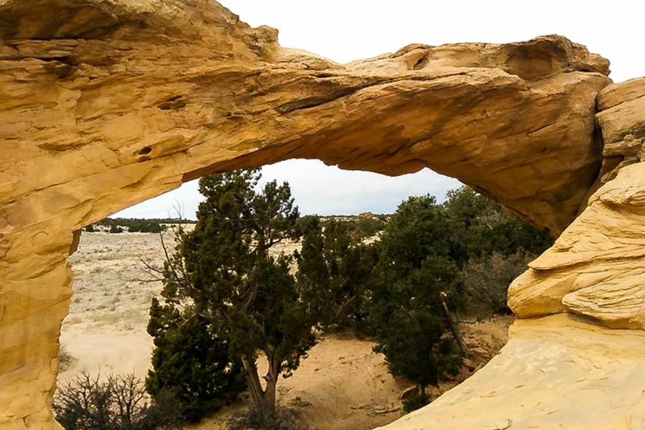 Villa Rim Vista 9A8 à Moab Extérieur photo